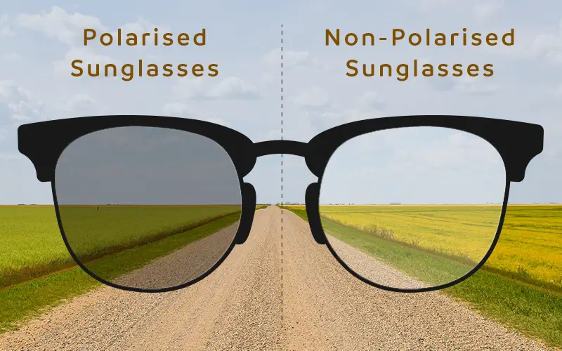 Comparison of Polarized and Non-Polarized sunglasses showing clearer, glare-free vision on the left side with Polarized lenses.